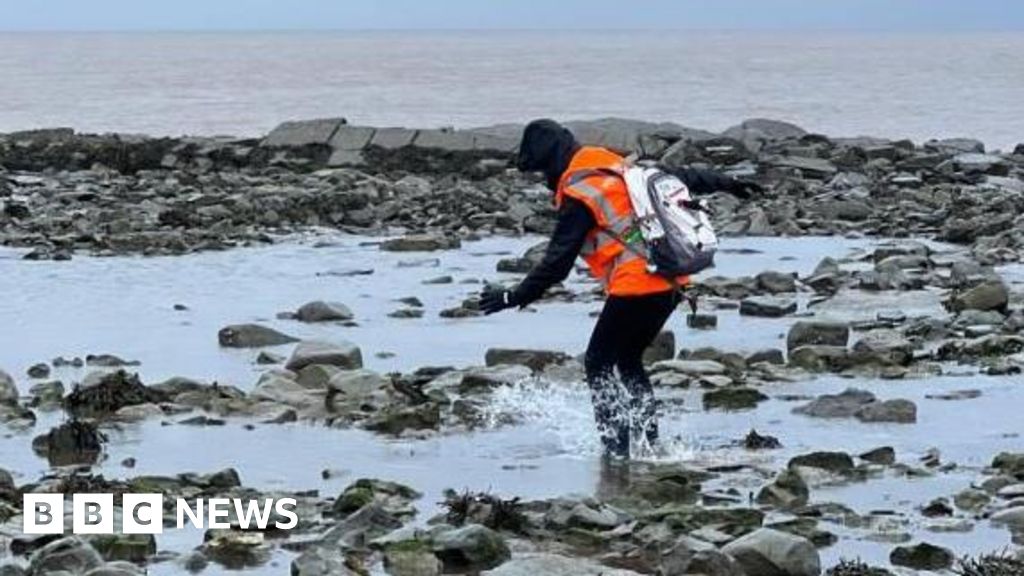 You are currently viewing Rock pooling competition held in Somerset to find rare species