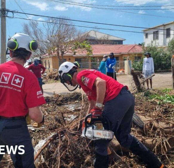 Devon tree surgeons join clean-up in devastated Jamaica
