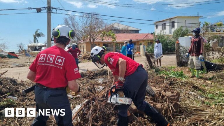 Read more about the article Devon tree surgeons join clean-up in devastated Jamaica