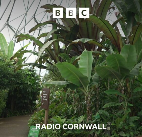 'Rollercoaster' ride for local visitor attractions