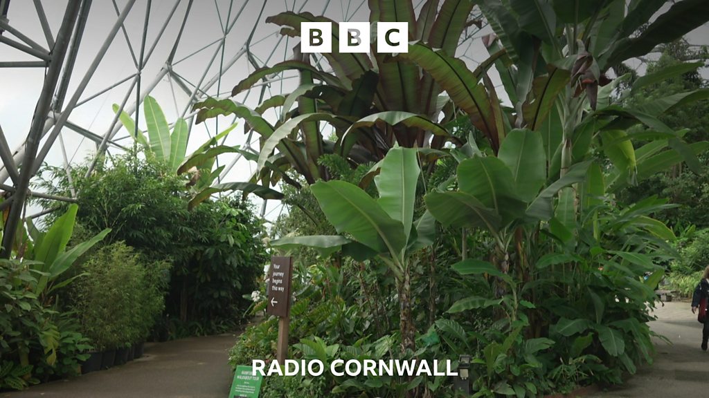 You are currently viewing 'Rollercoaster' ride for local visitor attractions