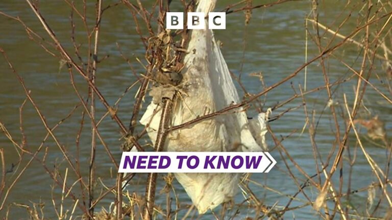 Read more about the article Need To Know Somerset – Wessex Water to spend £11m cutting sewage spills