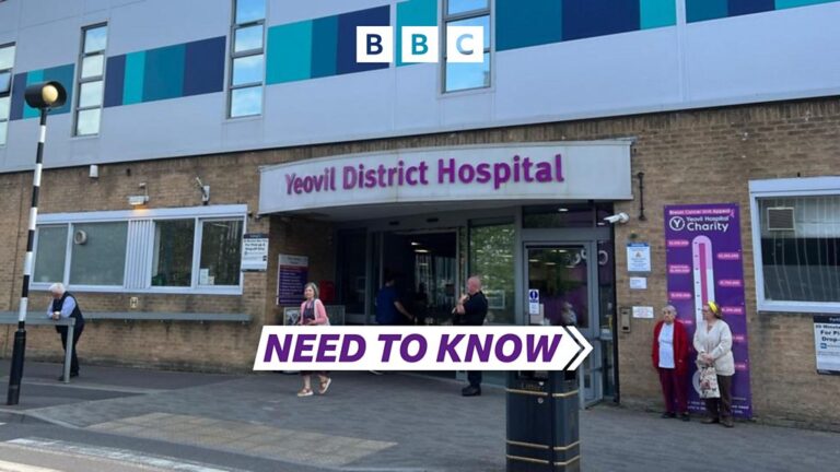 Read more about the article Need To Know Somerset