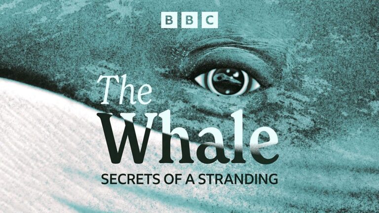 Read more about the article The Whale, Secrets of a Stranding – 1. The Myth