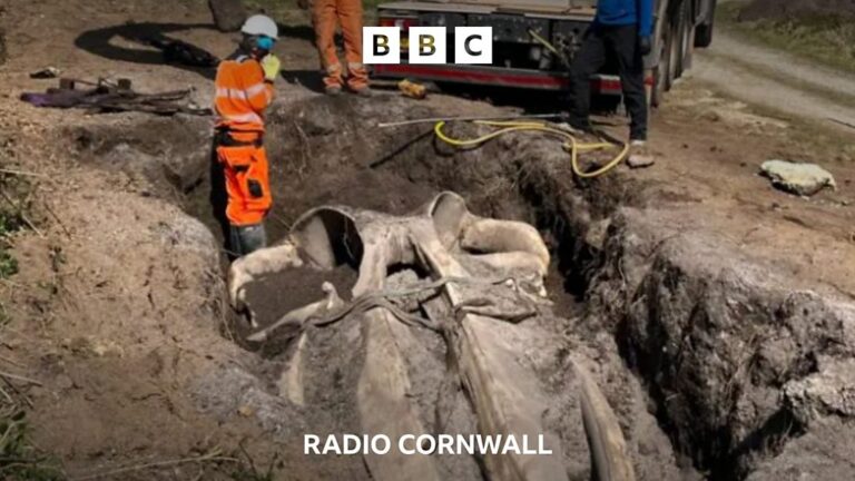 Read more about the article Hidden Cornwall