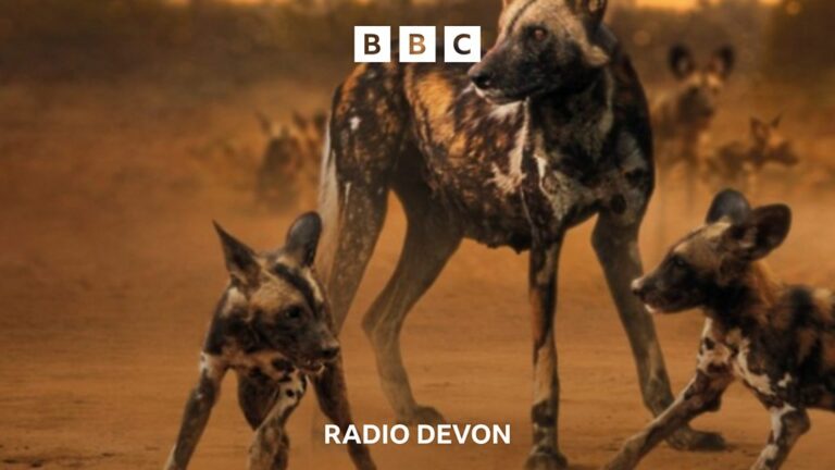 Read more about the article From Dartmoor to the plains of Zambia