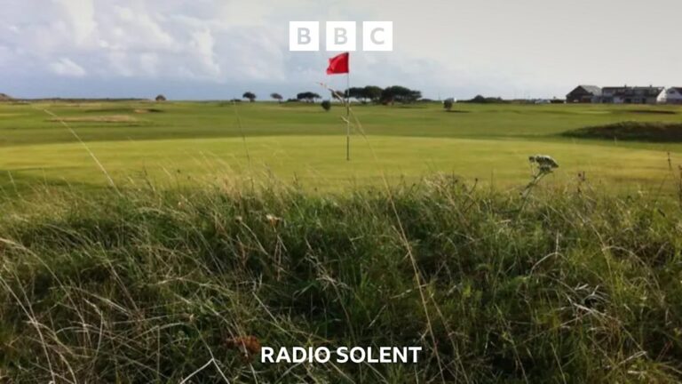 Read more about the article Future in doubt at Solent Meads