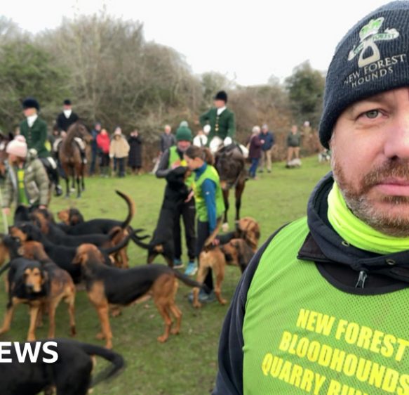 New Forest Bloodhounds relieved to escape trail hunting ban