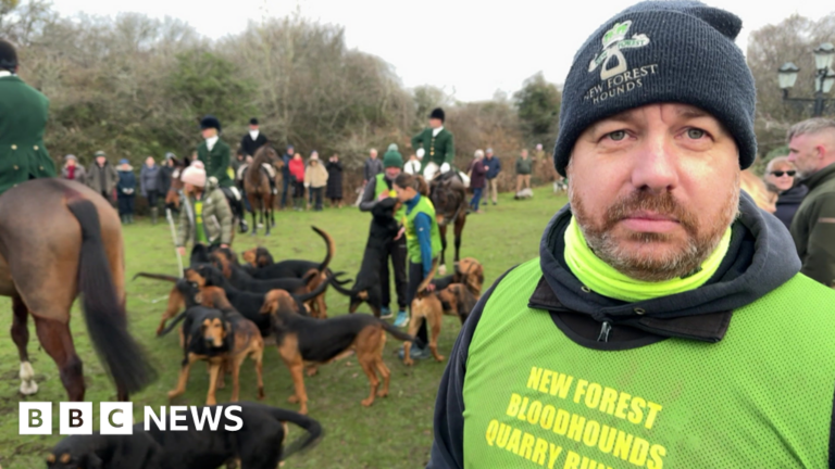Read more about the article New Forest Bloodhounds relieved to escape trail hunting ban