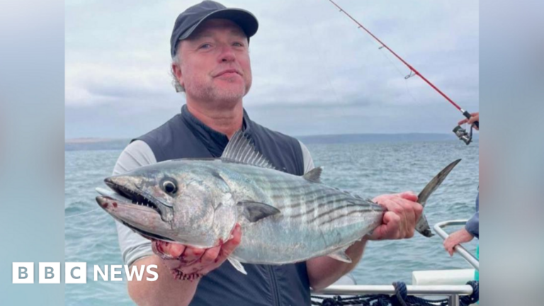 Read more about the article Three record-breaking fish caught off Devon coast
