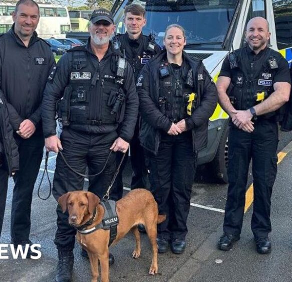Drug detection dog visits Fowey school to educate