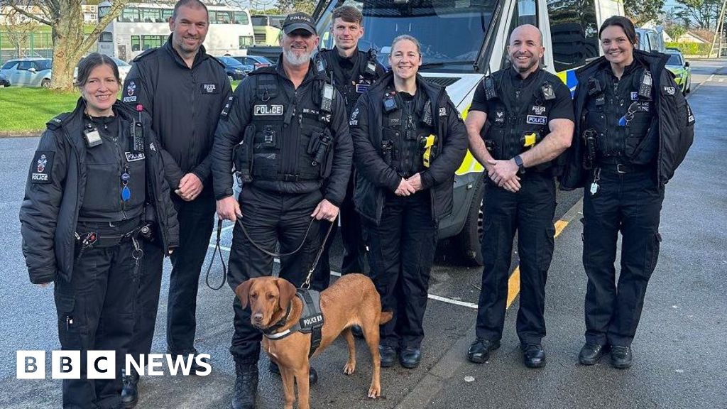 You are currently viewing Drug detection dog visits Fowey school to educate
