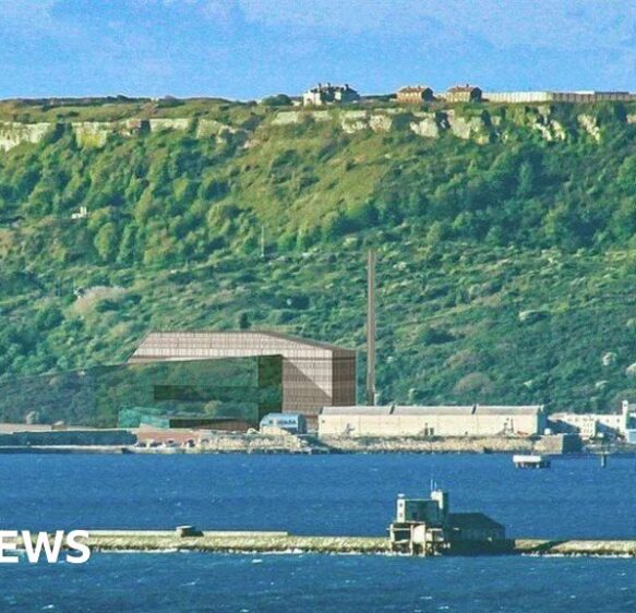 Council pledges to monitor Portland incinerator emissions