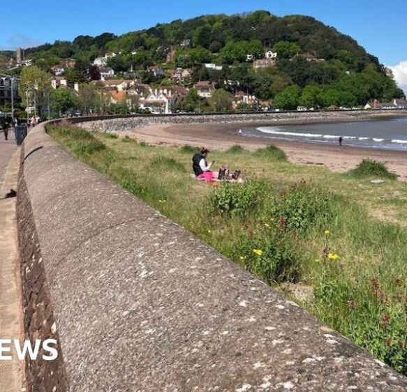 New pool in Minehead a step closer after government funding