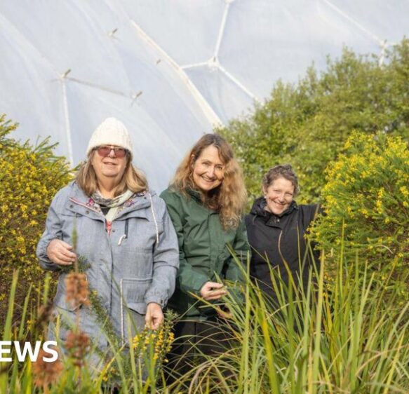Eden Project nature recovery scheme gets £2m funding boost