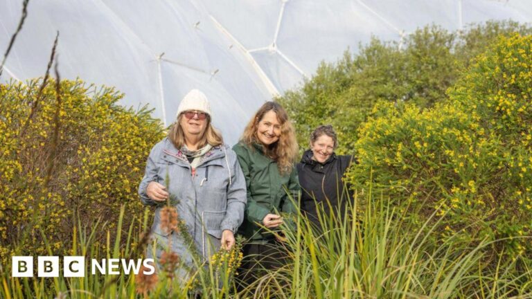 Read more about the article Eden Project nature recovery scheme gets £2m funding boost