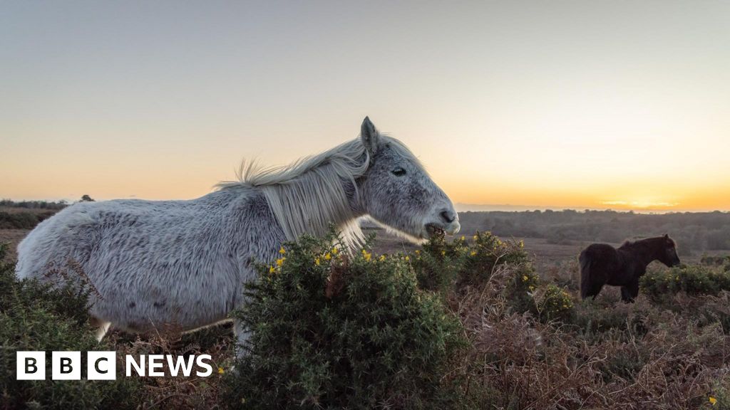 You are currently viewing This week’s images from the south of England