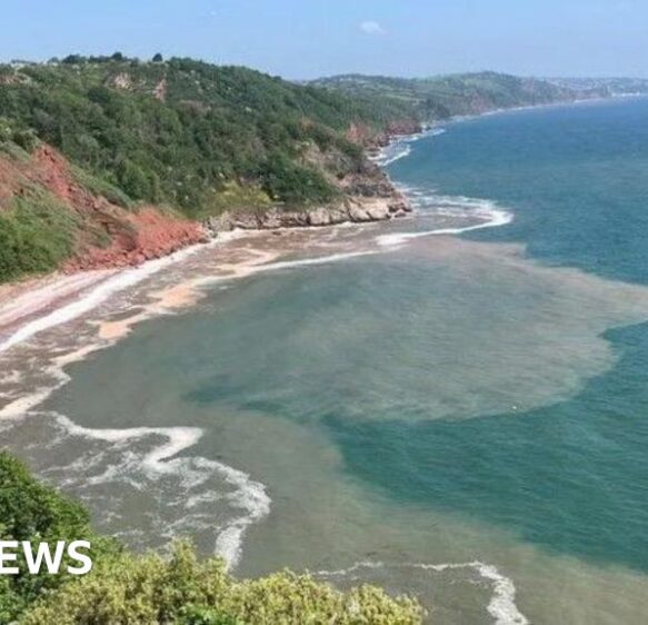 Devon council set to maintain green spaces previously leased to trust