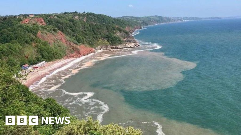 You are currently viewing Devon council set to maintain green spaces previously leased to trust