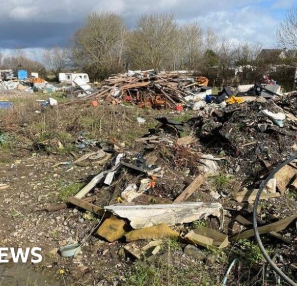 Langport caravan park owner fined for threatening bird habitats