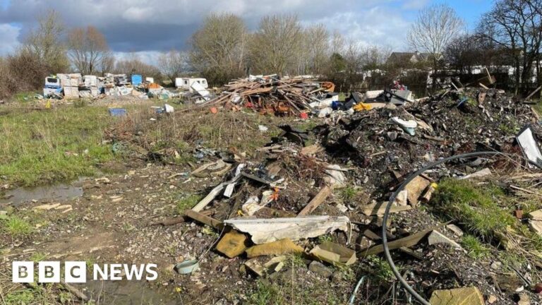 Read more about the article Langport caravan park owner fined for threatening bird habitats