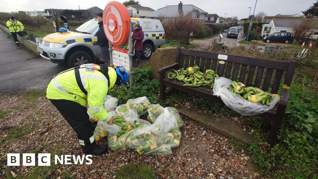 You are currently viewing Five stories from the South you may have missed