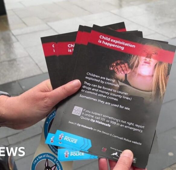 Seven Torquay hotels fail child exploitation checks