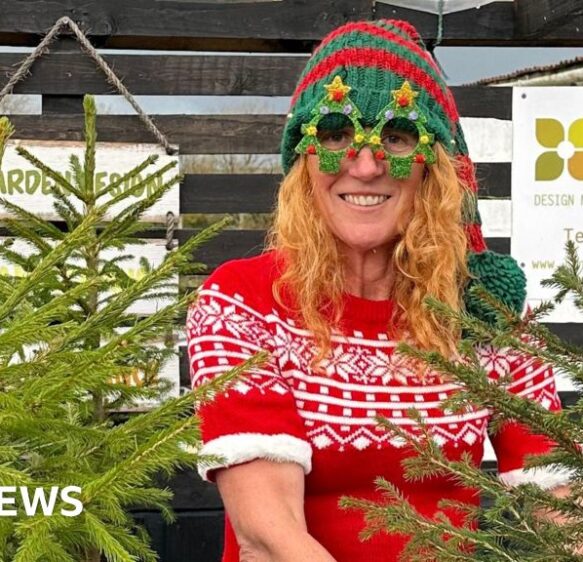 Cornwall farm says trees are for life