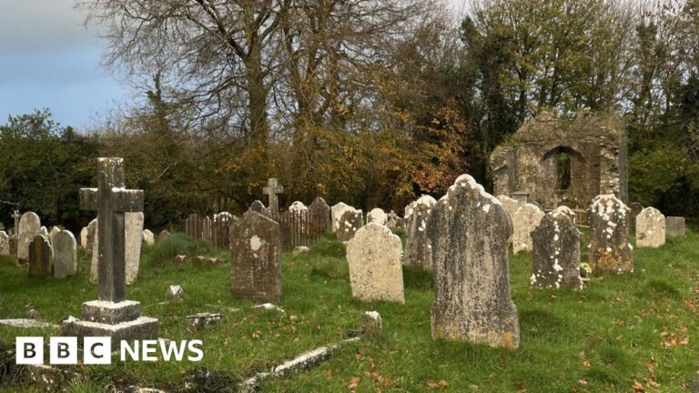 Read more about the article Group mapping graves in Devon for future generations
