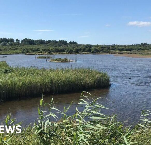 RSPB defends Radipole and Lodmoor nature reserve visitor cutbacks