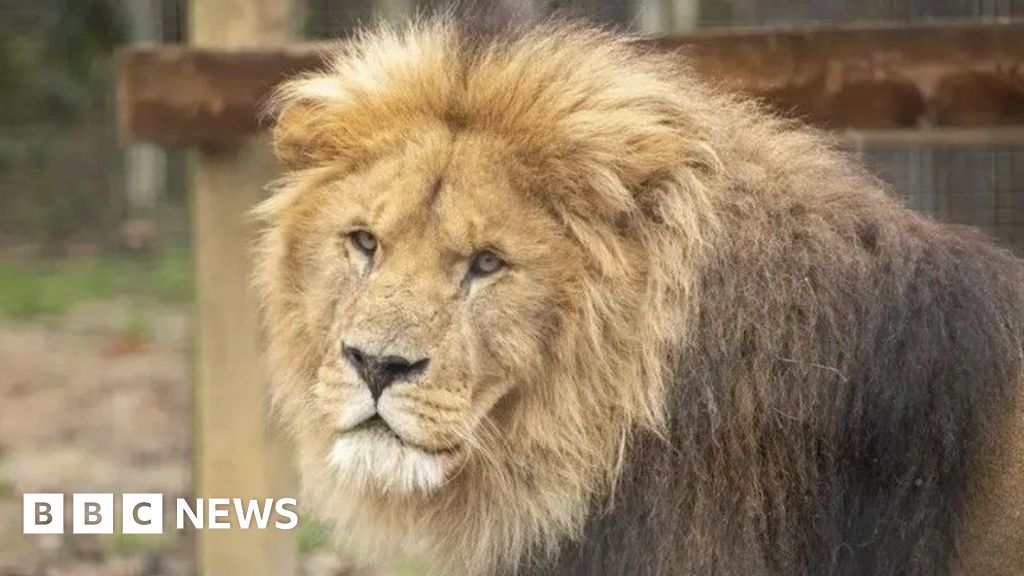 You are currently viewing Weekly quiz: Who has bought two South West zoos?