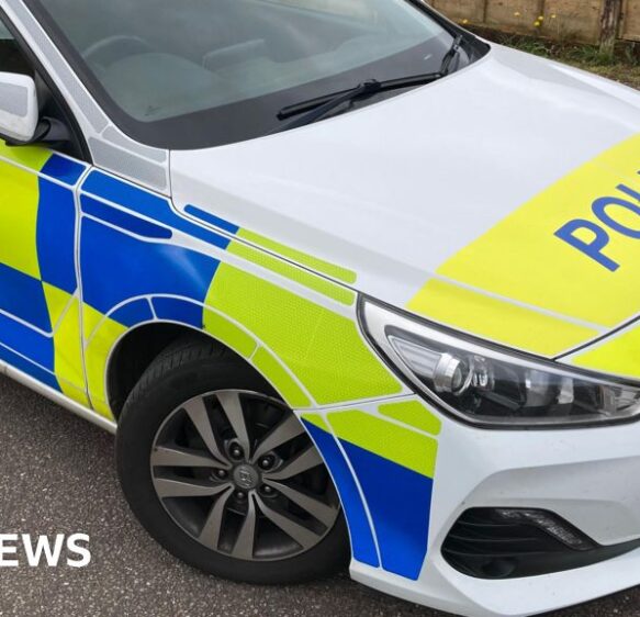 Plymouth dog walker injured in late-night park attack