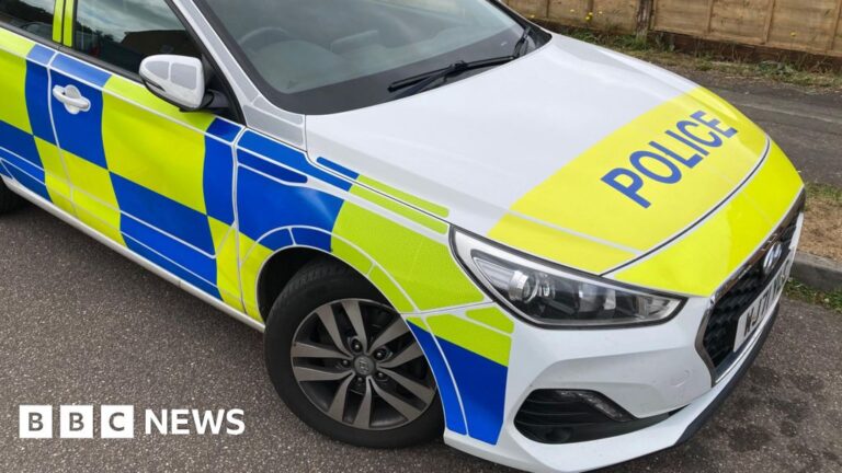 Read more about the article Plymouth dog walker injured in late-night park attack