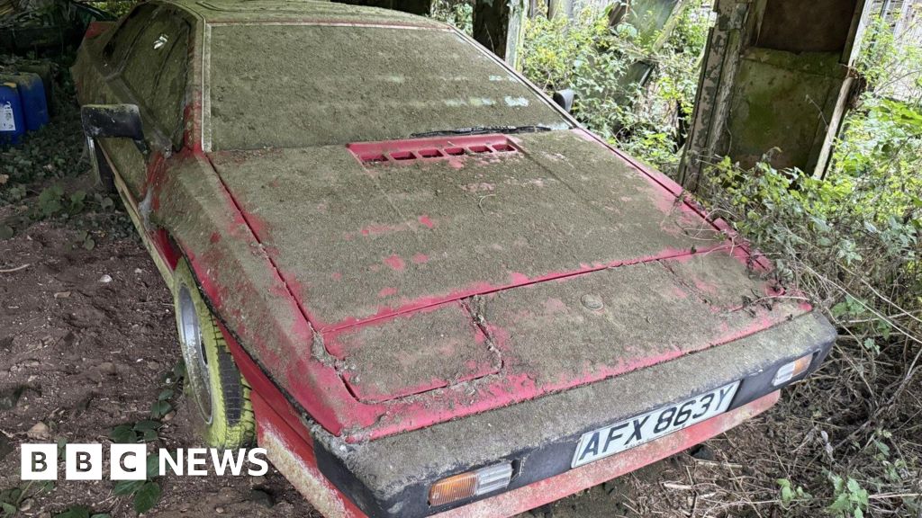 You are currently viewing Lotus Esprit left in barn for 30 years up for auction