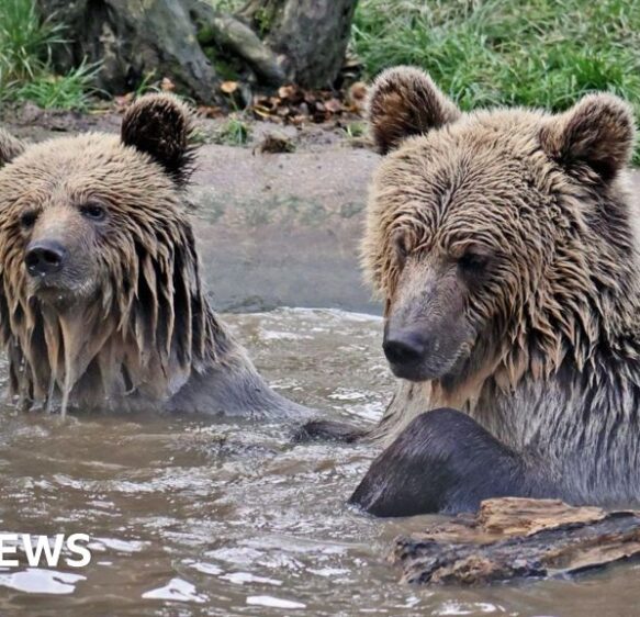Devon and Cornwall stories to make you smile