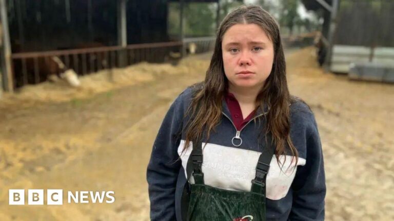 Read more about the article Farm higher inheritance tax rate ‘does not go far enough’