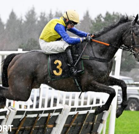 300-1 Blowers becomes longest-priced winner in UK horse racing history