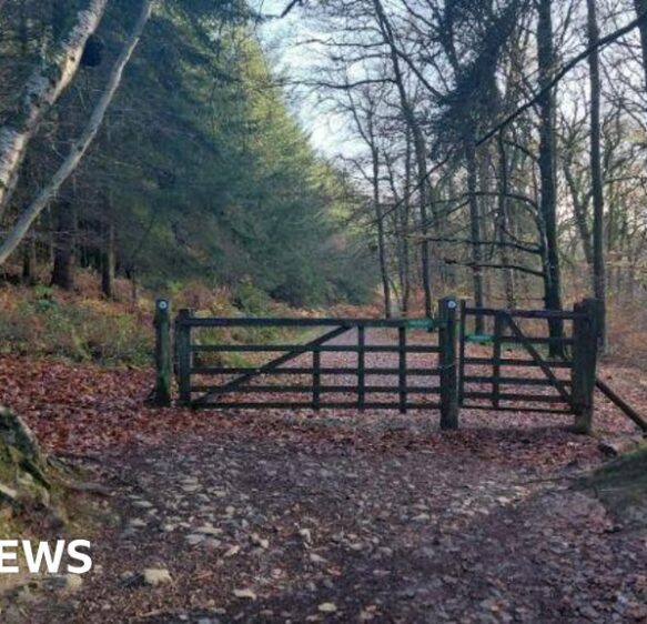 Quantock Hills plan can be commented on by Somerset residents