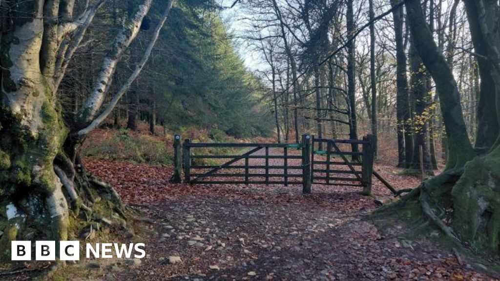 You are currently viewing Quantock Hills plan can be commented on by Somerset residents