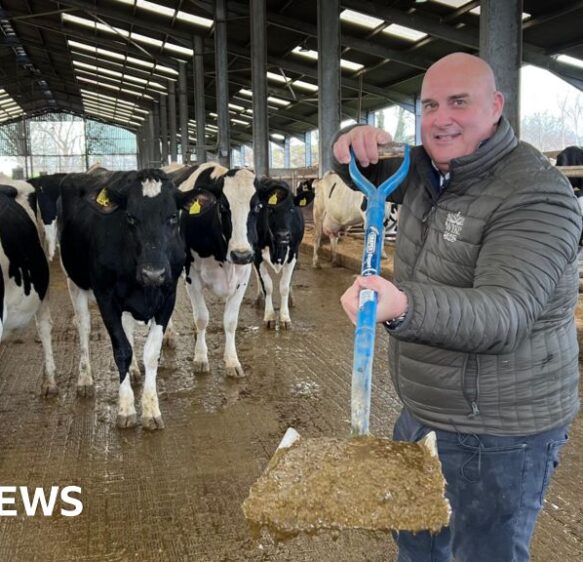 How many UK homes could be heated from cow manure?