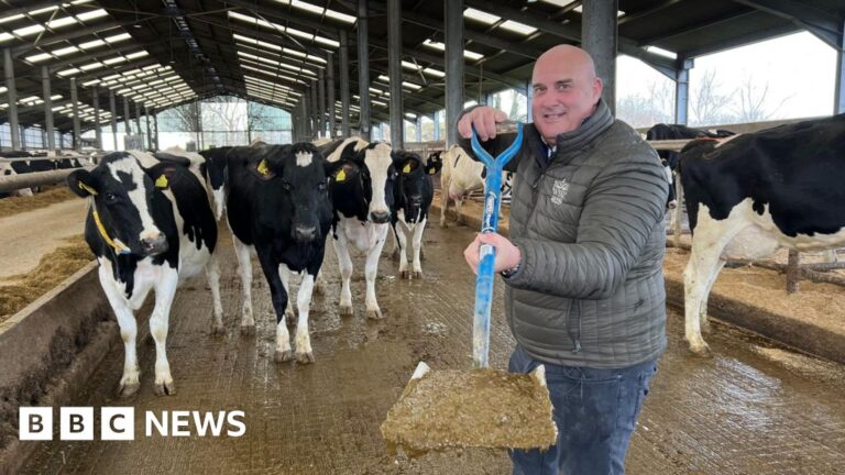 Read more about the article How many UK homes could be heated from cow manure?