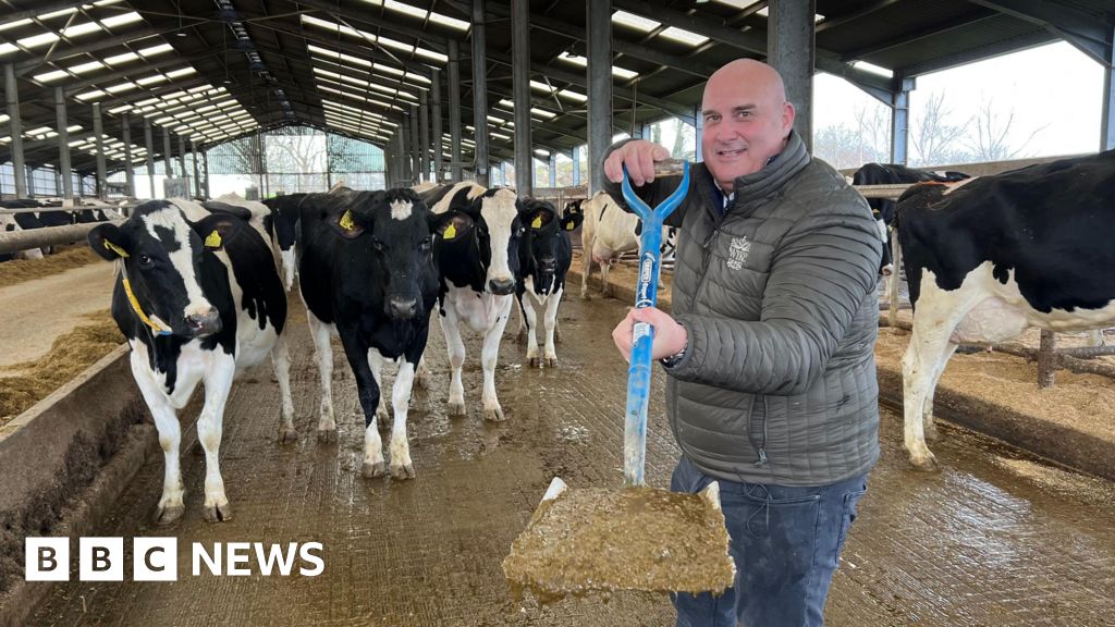 You are currently viewing How many UK homes could be heated from cow manure?