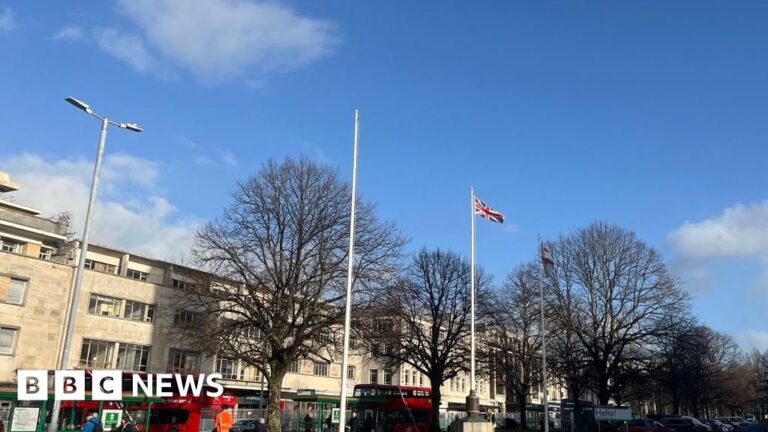 Read more about the article New flags policy pushed by Plymouth City Council