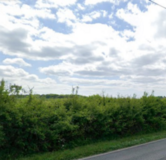 Two drivers die in collision on rural road near Wimborne