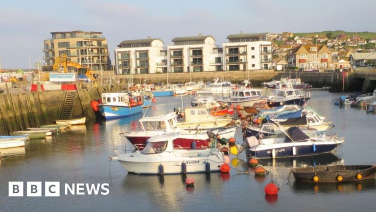 Read more about the article Boat users set for increase in Dorset harbour fees