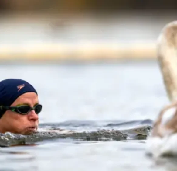 Warnings over new year swims