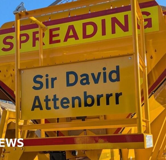 Sir David Attenbrrr among ice cold BCP Council gritter names