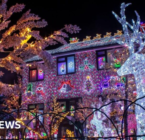 ‘Lando Norris F1 win’ and ‘Bristol Christmas lights’