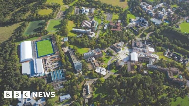 Read more about the article Campaign to tackle drop in A-level language studies in south west