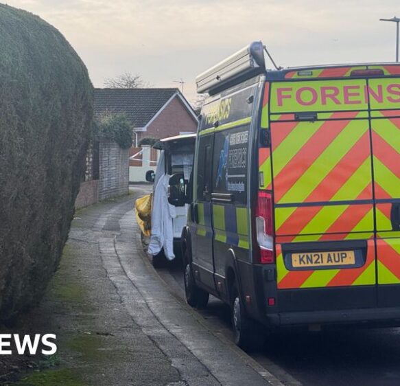 Teenage boy arrested in Worle on suspicion of murdering girl, 9